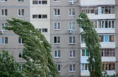 Москвичи могут сообщать об опасности в непогоду через портал «Наш город»