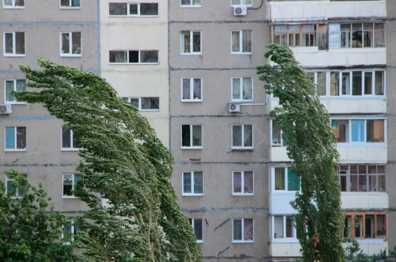 Москвичи могут сообщать об опасности в непогоду через портал «Наш город»